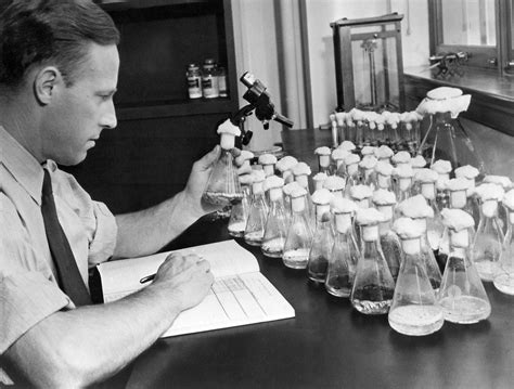 How penicillin was discovered, and how WWII let this miracle drug reach millions - Click Americana