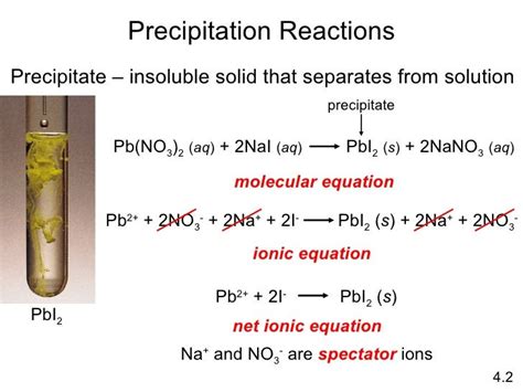 chemistry: Precipitation Reactions