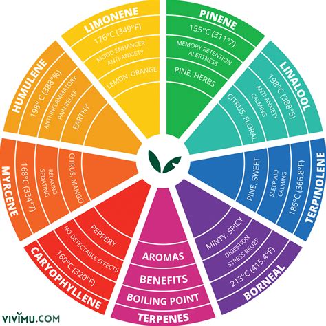 Terpene Chart: Learn More About Terpenes Here | Vivimu