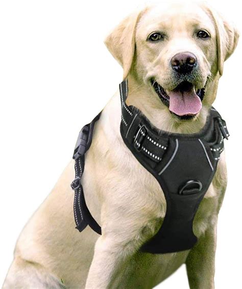 Best Dog Car Seat Belts and Harnesses Reviews - Elite Car Seats