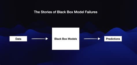 Ten Stories of Black Box Model Failures | by Ishan | Virginia Tech ...