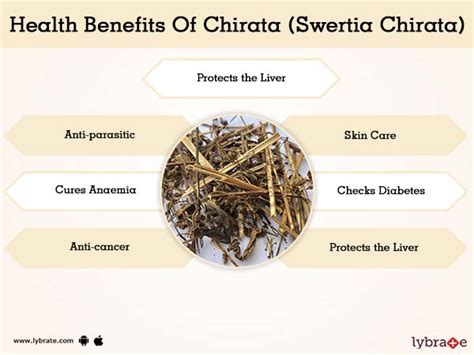 Chirata (Swertia Chirata) Benefits And Its Side Effects | Lybrate