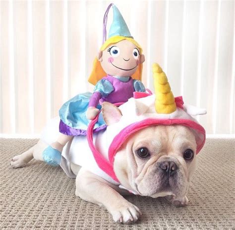 213 best Frenchie costumes images on Pinterest | French bulldogs ...