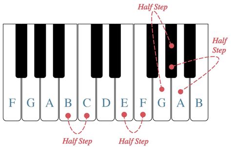 Half Steps, Whole Steps, and Accidentals – Open Music Theory