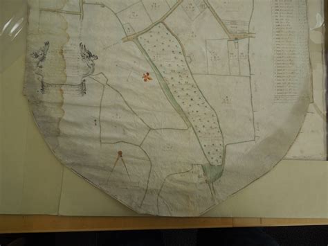 1747 Farringdon Enclosure Map 3 - Ropley History