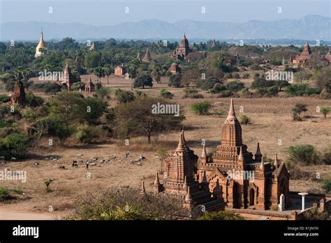 A view of Bagan temples, Myanmar Stock Photo - Alamy