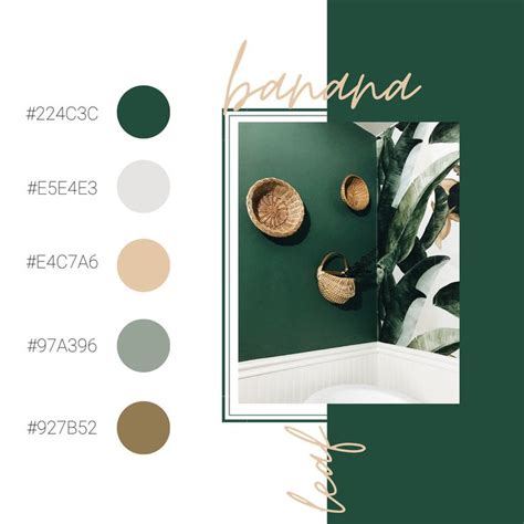 banana leaf neutral color palette hex codes | Green colour palette, Website color palette, Earth ...