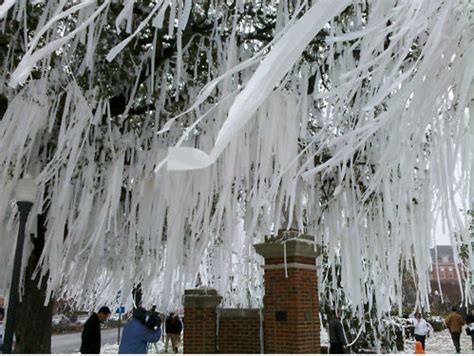 Auburn fan auctioning off Toomer’s Corner toilet paper from BCS Championship celebration to ...