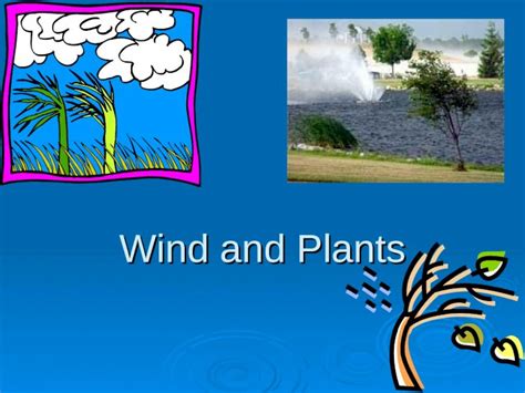 (PPT) Wind and Plants. WIND Wind has a major effect on agricultural and ...