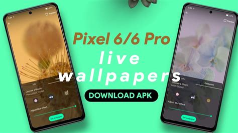 Pixel 6/6 Pro Live Wallpapers Available to download 😎😎 - YouTube