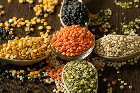 Types of lentils: the best lentil varieties - Plantura