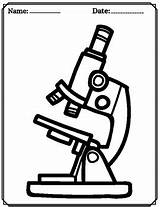 Microscope Anatomy  Parts Of A Labeling Word Search sketch template