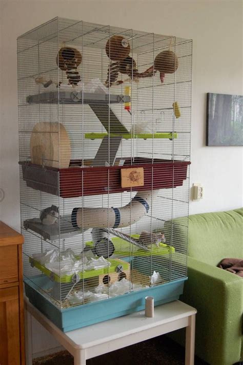 two-storey rat cage by were-were-wolfy on DeviantArt | Rat cage, Rat cage accessories, Ferret cage