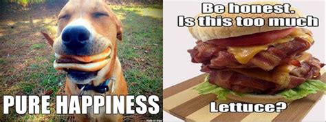 Delicious Cheeseburger Memes in Honor of National Cheeseburger Day | National cheeseburger day ...