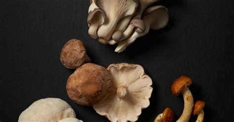 Adaptogenic Mushrooms Are The Latest Wellness Craze You Need To Know About