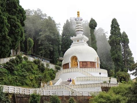 Peace Pagoda | Darjeeling, Cool places to visit, Pagoda