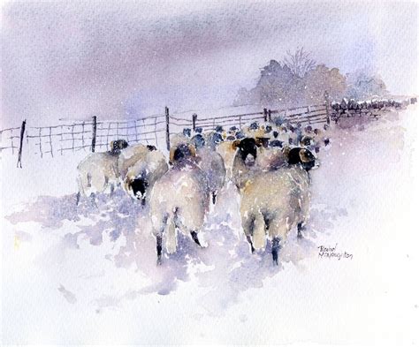 Image result for art of rachel mcnaughton | Sheep paintings, Sheep art, Farm animal paintings