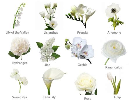 Cheat Sheets to Spring Wedding Flowers | Love , Romantic , Wedding and Anymore