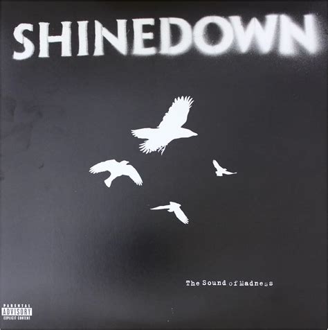 Sound of Madness (Vinyl): Shinedown: Amazon.ca: Music