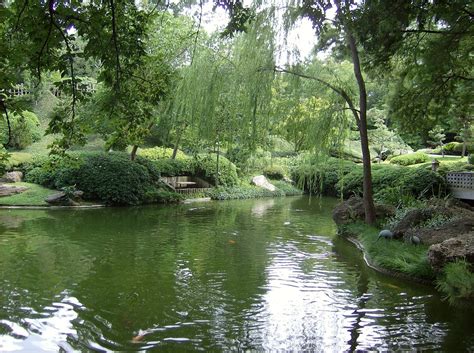Free photo: Pond, Botanic Gardens, Fort Worth - Free Image on Pixabay - 713763