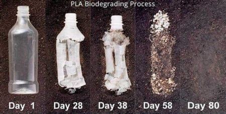 PLA vs ABS - What's The Difference? [Simple Guide] (Updated 2022)