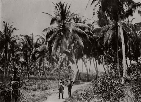 Vintage: Photos of West African Villages and its People (1910-1913 ...