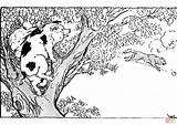Borzoi Reader Authors Julia Child Sketch Coloring Page sketch template