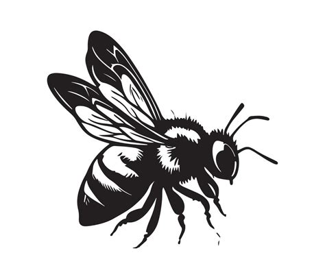 Honey Bee icon, honey bee silhouette 22667113 Vector Art at Vecteezy