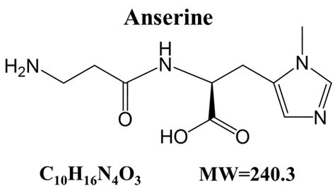 IJMS | Free Full-Text | Anserine, a Histidine-Containing Dipeptide ...