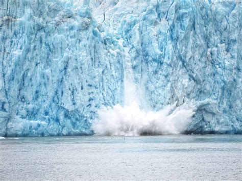 Best Alaska Glacier Cruises Explained: All You Need To Know