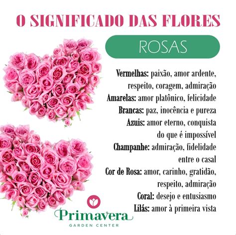 Introduzir 72+ imagem rosa significado cor - br.thptnganamst.edu.vn