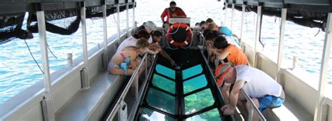 Glass Bottom Boat - A window into The Great Barrier Reef