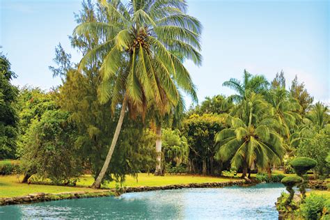 Find a Natural Oasis at this Kauai Botanical Garden - Hawaii Magazine