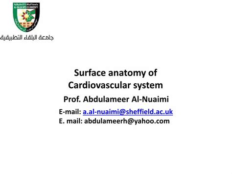 (PDF) Surface anatomy of Cardiovascular system · 2020-01-22 · Surface anatomy of Cardiovascular ...