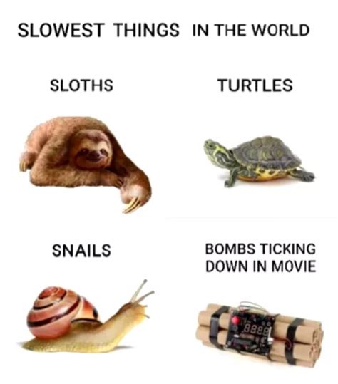 So slow.. - Meme by 0hHelloThere :) Memedroid