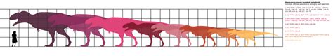 Size comparison scale | The World of Animals