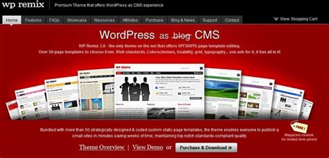 5 WordPress CMS Themes You Should to Know – Dobeweb