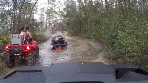 Ocala National Forest Trails 2019 - YouTube