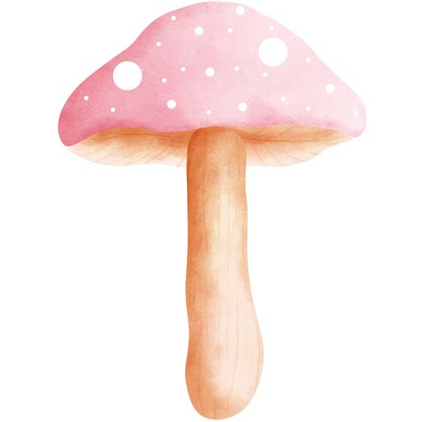 Watercolor adorable pink fly agaric mushroom clipart.Fly agaric ...