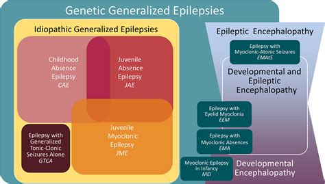 ILAE definition of the Idiopathic Generalized Epilepsy Syndromes: Position statement by the ILAE ...