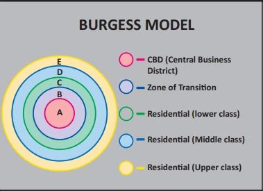 The concentric zone theory - Human Settlements | Geography