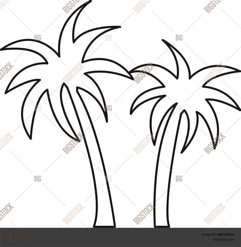 Palm Tree Vector Line Vector & Photo (Free Trial) | Bigstock