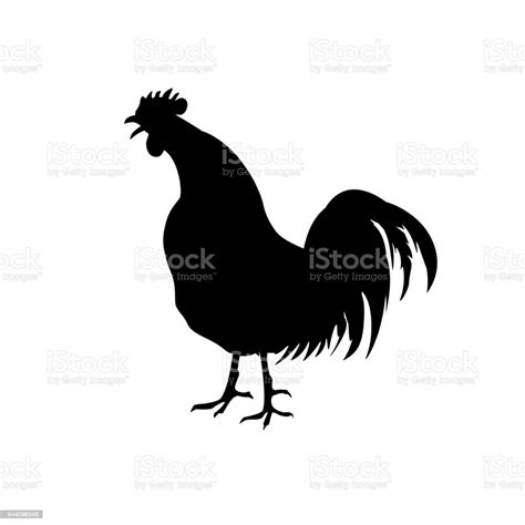 Rooster Crowing Silhouette Stock Illustration - Download Image Now ...