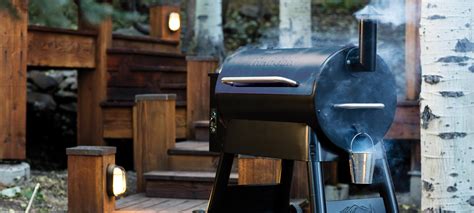 11 Types of BBQ Grills: Pros and Cons and How to Choose