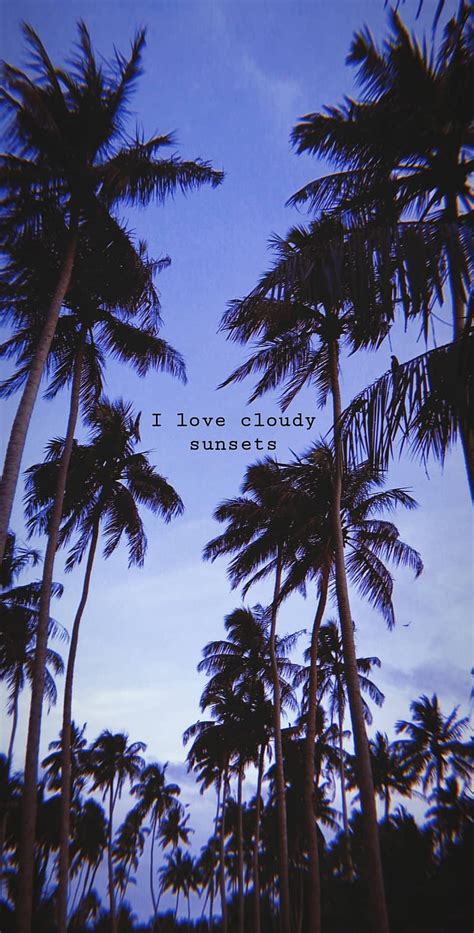 1920x1080px, 1080P free download | Cloudy sunset, aesthetic, beach, colorful, palm, quote, tree ...