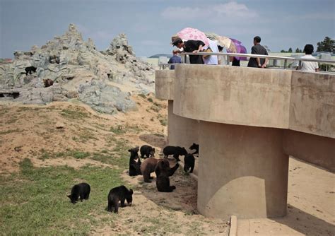 Look Inside North Korea's Zoo | CNN