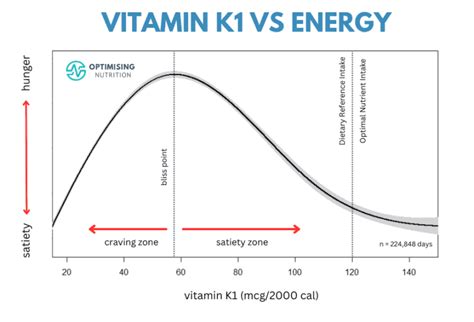 Top High Vitamin Foods to Supercharge Your Diet | Optimising Nutrition