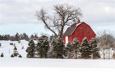 Snowy Red Barn Photograph by Toni Thomas - Fine Art America