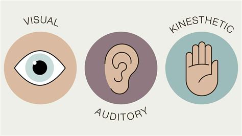 Learning Styles - How to Absorb Information to Make It More Memorable - ABA for Law Students