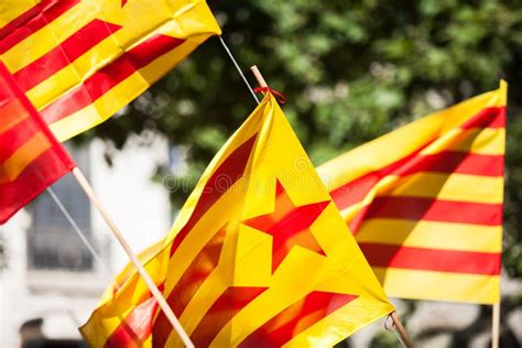 Catalonian flag stock image. Image of vote, independence - 57771233